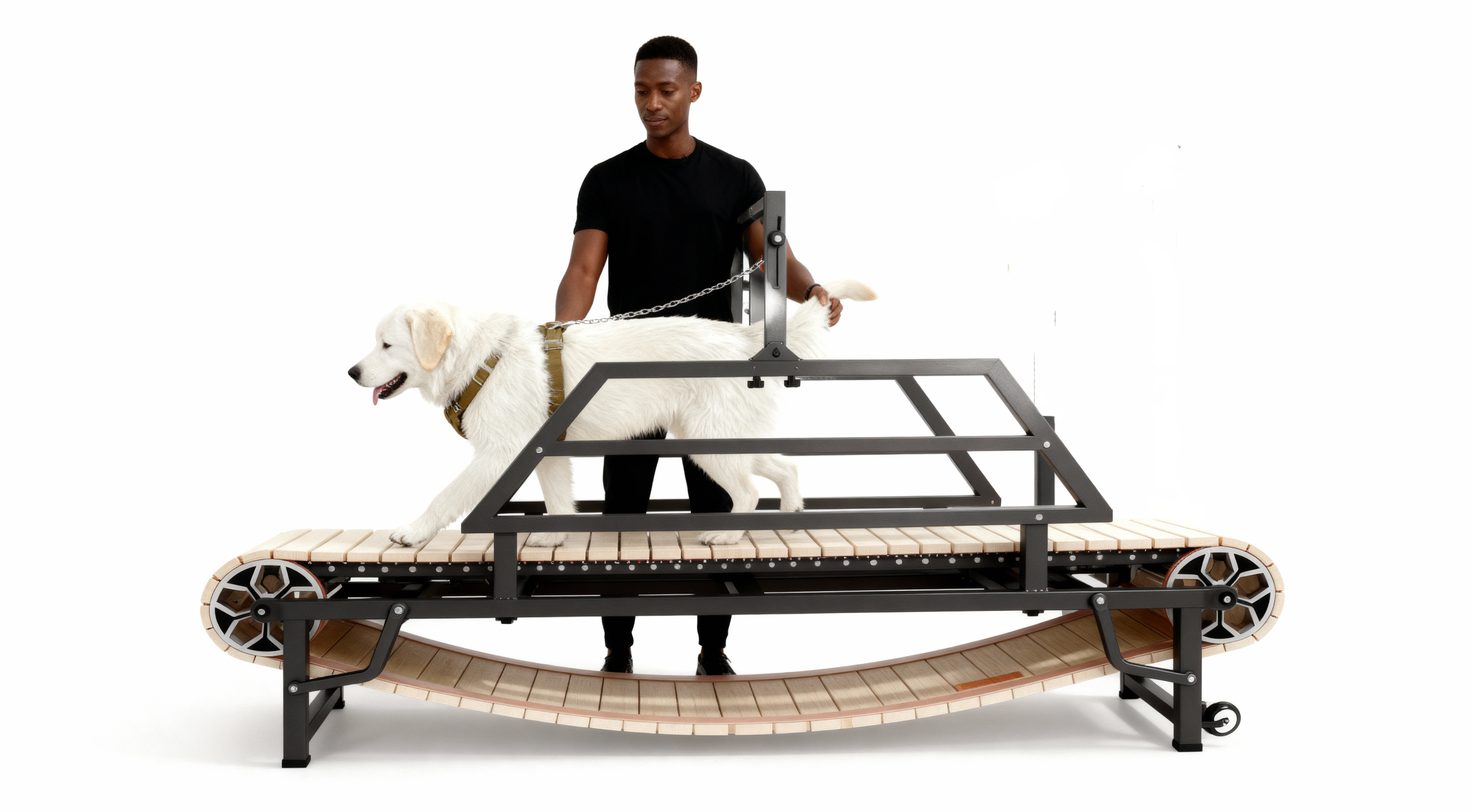 Manual Dog Treadmills