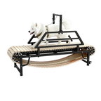 Dog on a wooden manual dog exercise treadmill on a white background