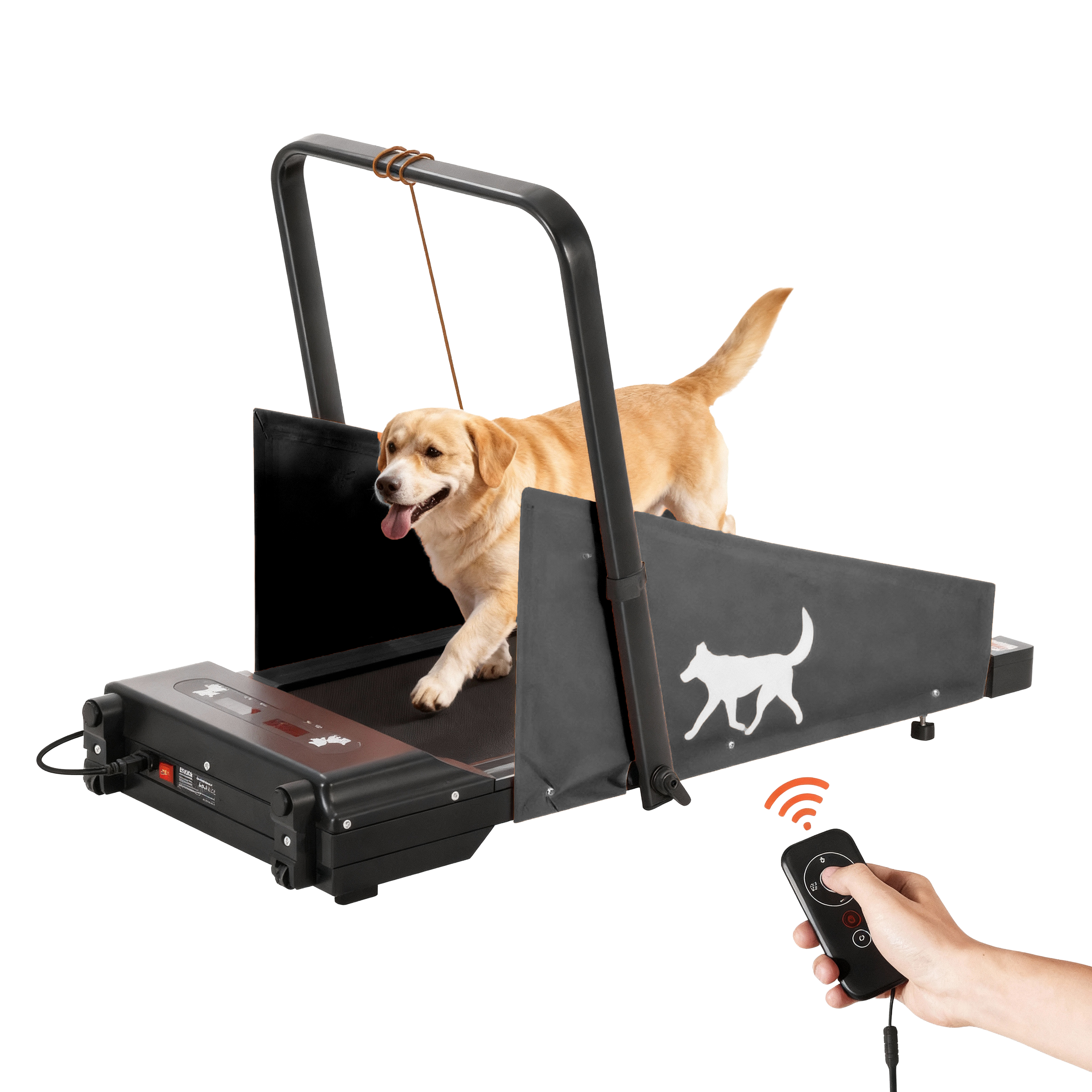 Electric dog treadmill with a dog walking on it and a remote control held by a hand