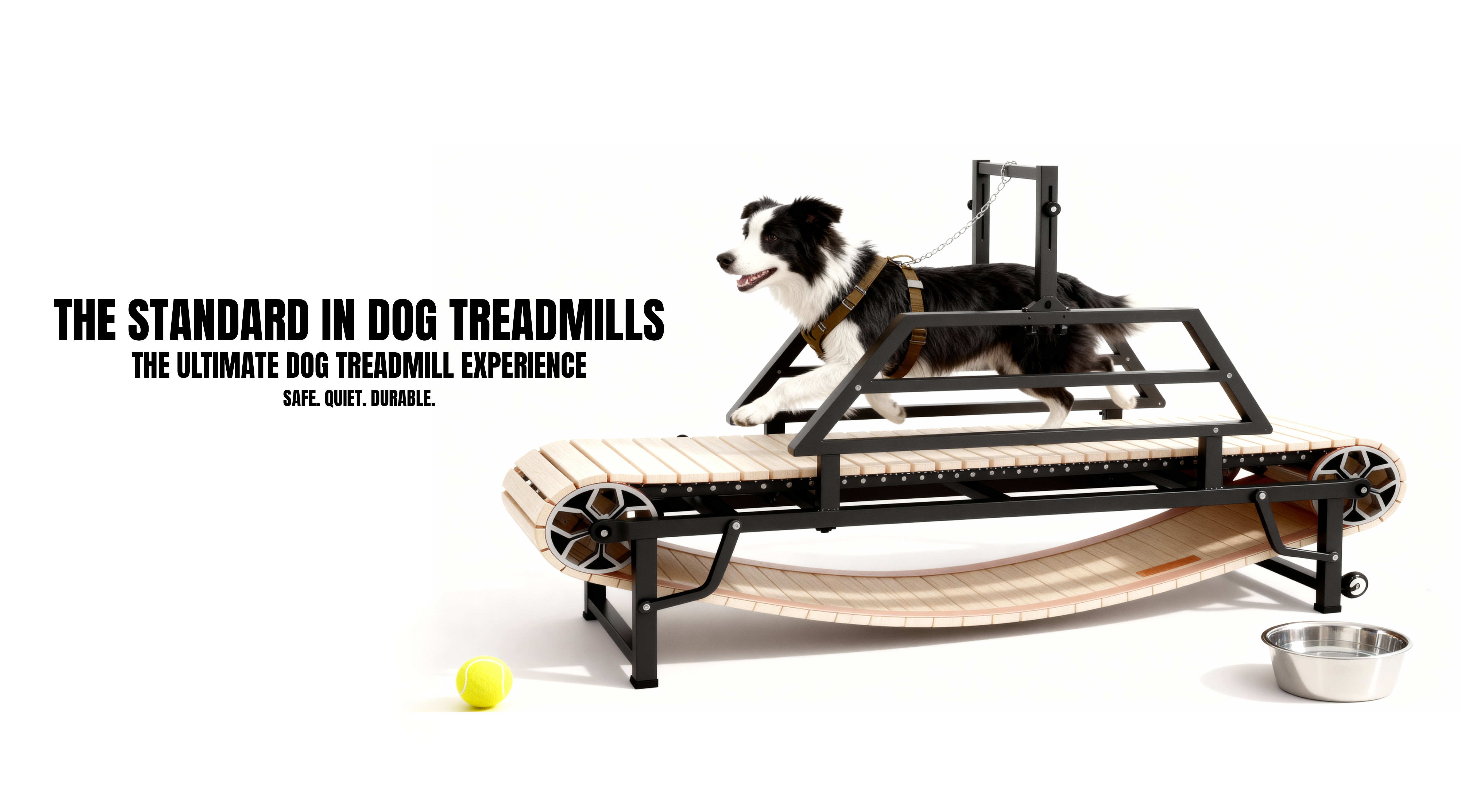 Manual dog treadmill with a border collie running on it, on a white background